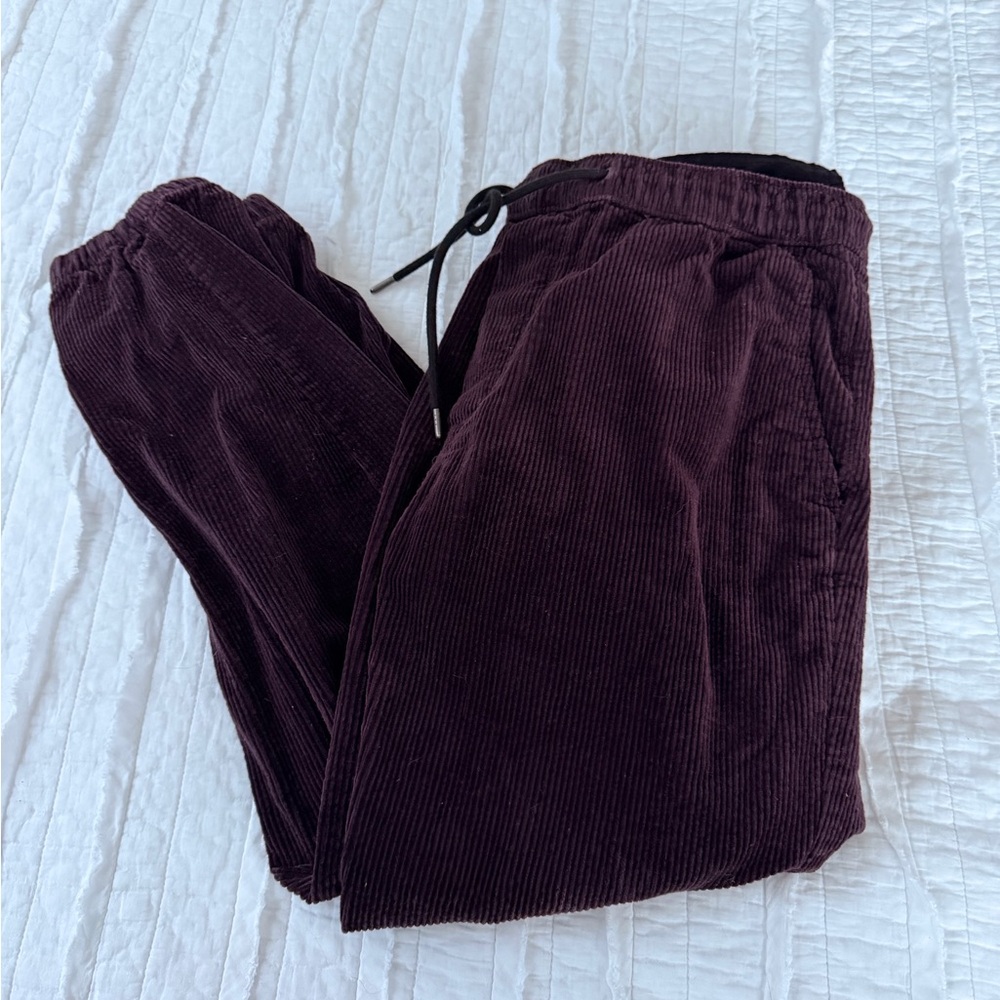 American Eagle Outfitters Corduroy Joggers in Deep Purple